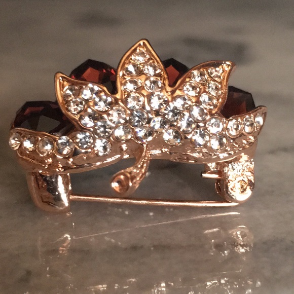 Grapes Teardrop Crystal Brooch - Picture 8 of 16